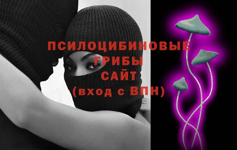 дарк нет наркотические препараты  Унеча  Псилоцибиновые грибы Cubensis 